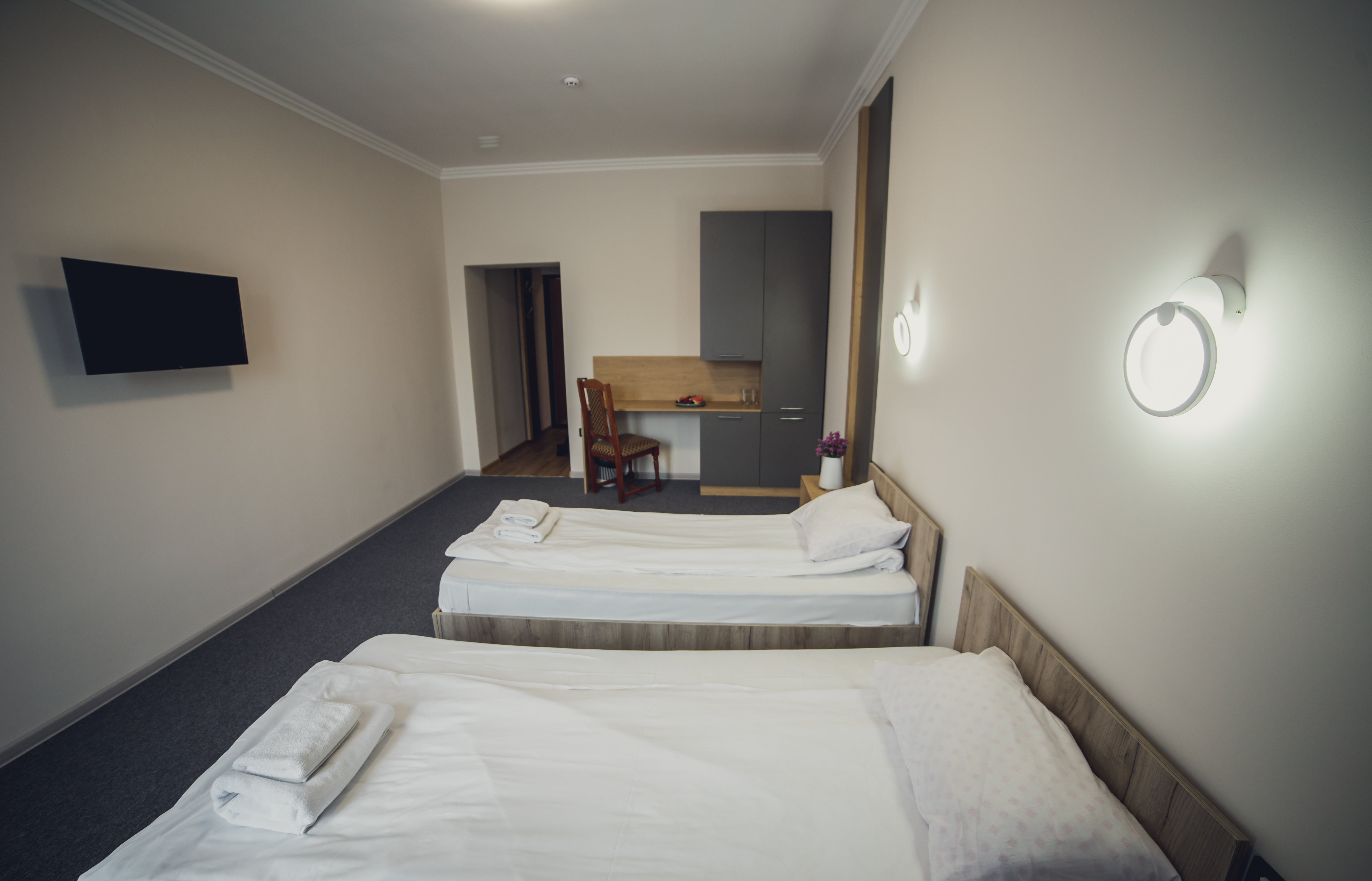 Економ двомісний - вид