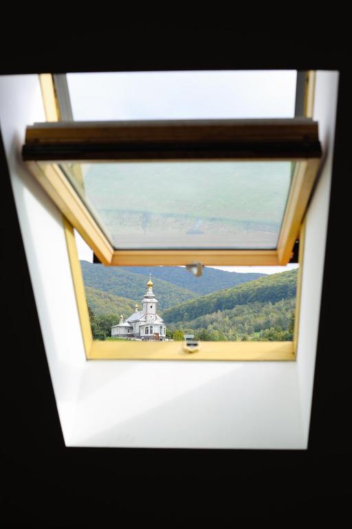 Економ номер - вид